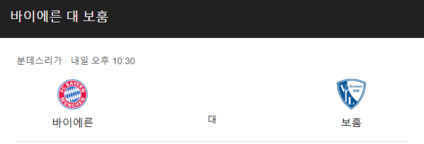 보훔 최근 경기력 분석 및 예상 스코어 class=