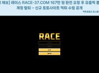 레이스 먹튀 피해 대표 이미지
