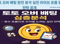 메가웨이 슬롯 실전 전략 설명 이미지 - 수익 흐름 집중 공략 사례