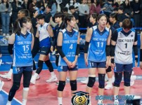 V리그 여자배구 3월 16일 - IBK기업은행 알토스 vs GS칼텍스 KIXX 경기 분석 및 승부 예측