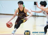 KBL 3월 20일 - 창원 LG 세이커스 vs 원주 DB 프로미 경기 분석 및 승부 예측