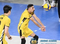 V리그 남자배구 3월 18일 - 의정부 KB손해보험 스타즈 vs 인천 대한항공 점보스 경기 분석 및 승부 예측
